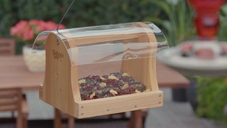 automatic pet feeder canadian tire