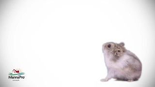 Manna Pro Hamster & Gerbil Dry Food, 2.5 lbs. - Thumbnail-6