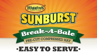 Higgins Sunburst Break-A-Bale Hay - Orchard Grass, 35 oz - Thumbnail-2