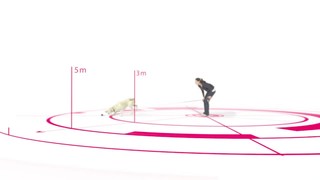 Flexi Comfort Retractable Dog Leash in Pink, Extra Small 10' - Thumbnail-7