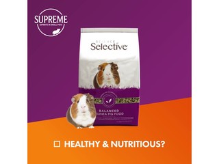 supreme selective guinea pig