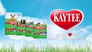 Kaytee Healthy Toppings For Small Animals Papaya - Thumbnail-2