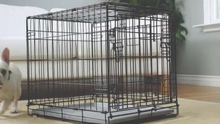 You & Me 2-Door Folding Dog Crate, 36" L x 23" W x 24" H - Thumbnail-8