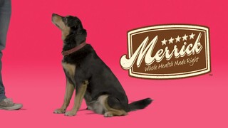 Merrick Backcountry Game Bird Real Duck Sausage Cuts Grain Free Dog Treats, 5 oz. - Thumbnail-6