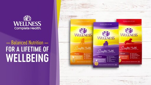wellness complete puppy