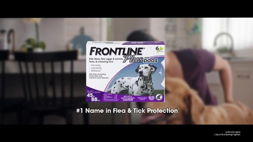 petco frontline plus