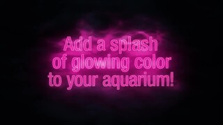Aqueon Aquarium Kit Lime Green NeoGlow, 5 Gallon - Thumbnail-5
