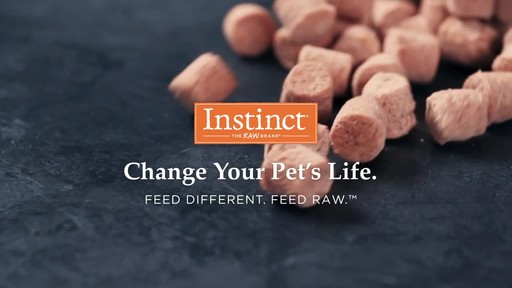 instinct raw patties