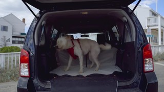 Kurgo Heather Hammock Tan Dog Car Seat Cover - Thumbnail-7