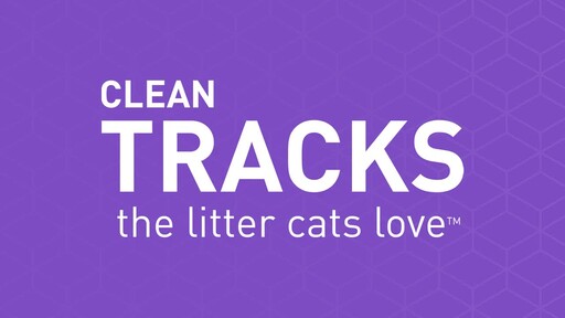 clean tracks litter