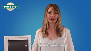 PetSafe Extreme Weather Door, Large - Thumbnail-6