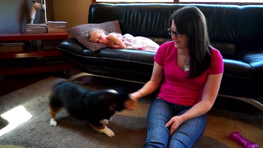 kong squeezz crackle stick