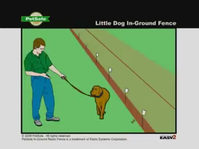 little dog fence