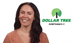 dollar tree chef hat