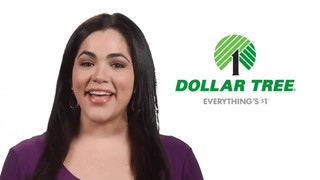 dollar tree bike lock