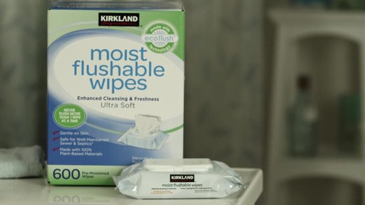 kirkland brand flushable wipes