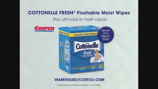 costco moist flushable wipes